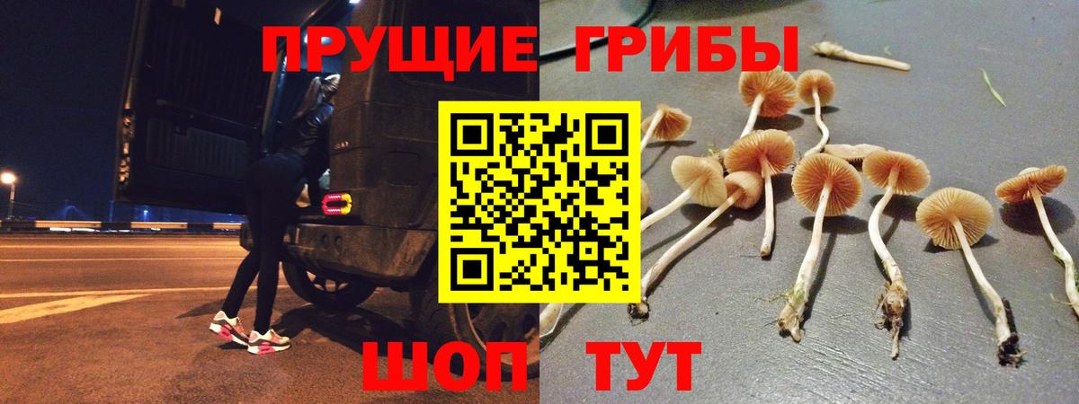 Саяногорск  Псилоцибиновые грибы Cubensis  дарнет шоп  Вход с VPN 
