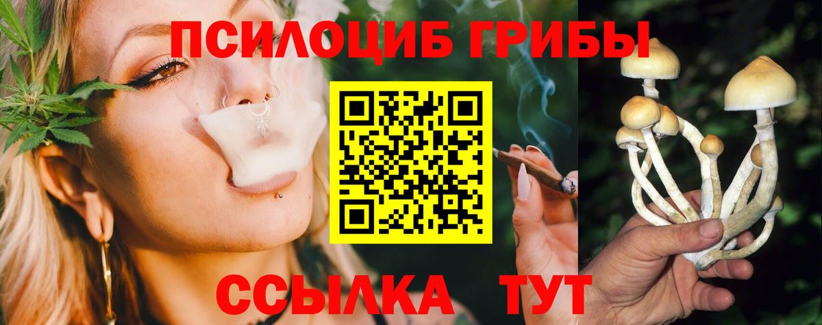 Галлюциногенные грибы Magic Shrooms Саяногорск